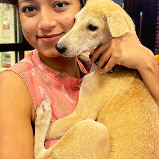 adoption 2