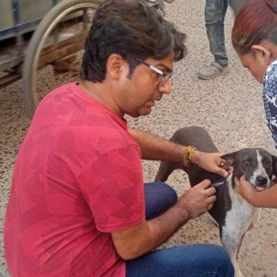 pawsome howrah vaccine 1